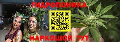 трава Мирный