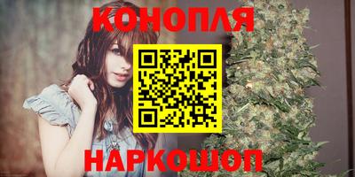 трава Мирный