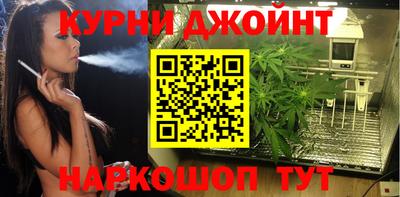 трава Мирный