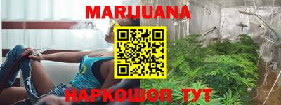 трава Мирный