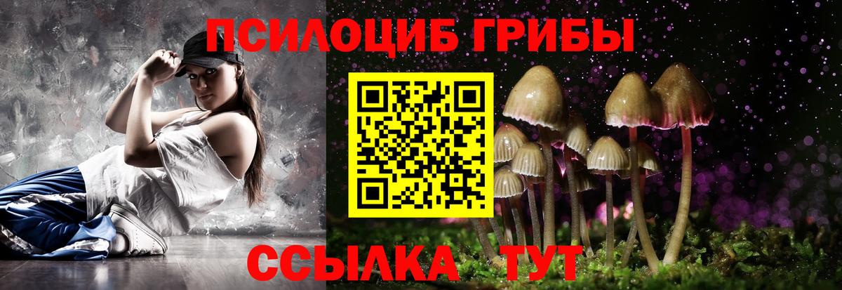 Галлюциногенные грибы Psilocybe Новошахтинск