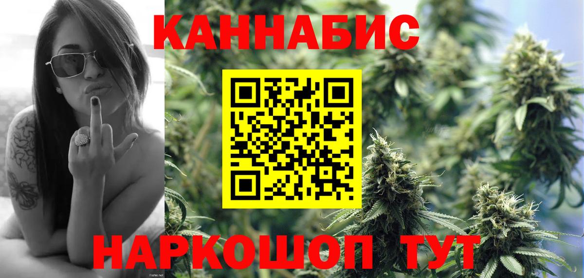 Канабис сатива Новошахтинск